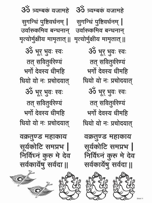 Shlok 11 Insert Sheet